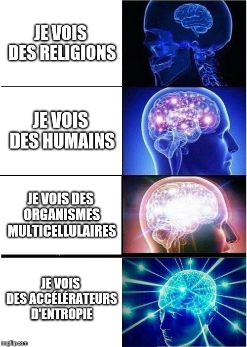 Expanding Brain Meme | JE VOIS DES RELIGIONS; JE VOIS DES HUMAINS; JE VOIS DES ORGANISMES MULTICELLULAIRES; JE VOIS DES ACCÉLÉRATEURS D'ENTROPIE | image tagged in memes,expanding brain | made w/ Imgflip meme maker