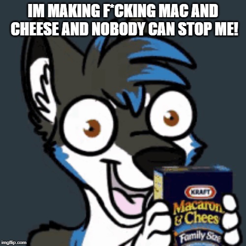 FURRY MEME | IM MAKING F*CKING MAC AND CHEESE AND NOBODY CAN STOP ME! | image tagged in furry | made w/ Imgflip meme maker