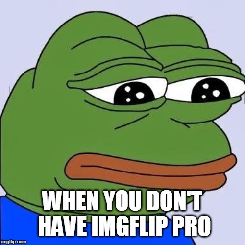 pepe | WHEN YOU DON'T HAVE IMGFLIP PRO | image tagged in pepe | made w/ Imgflip meme maker