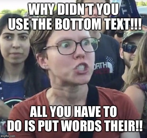 Triggered feminist | WHY DIDN’T YOU USE THE BOTTOM TEXT!!! ALL YOU HAVE TO DO IS PUT WORDS THEIR!! | image tagged in triggered feminist | made w/ Imgflip meme maker