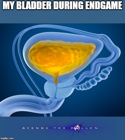 Avenge the Fallen Bladder | MY BLADDER DURING ENDGAME | image tagged in avengers endgame | made w/ Imgflip meme maker