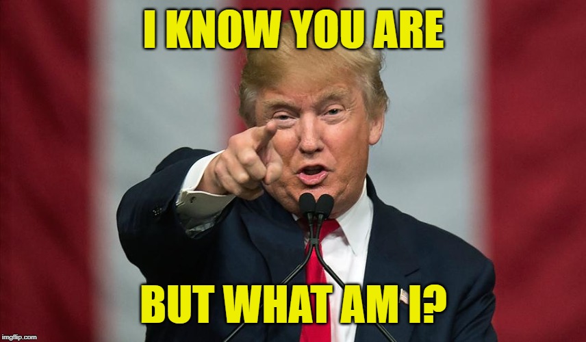 Trump Knows You Are | I KNOW YOU ARE; BUT WHAT AM I? | image tagged in donald trump birthday,peewee herman,donald trump pointing,presidents,jokes,anarchy | made w/ Imgflip meme maker