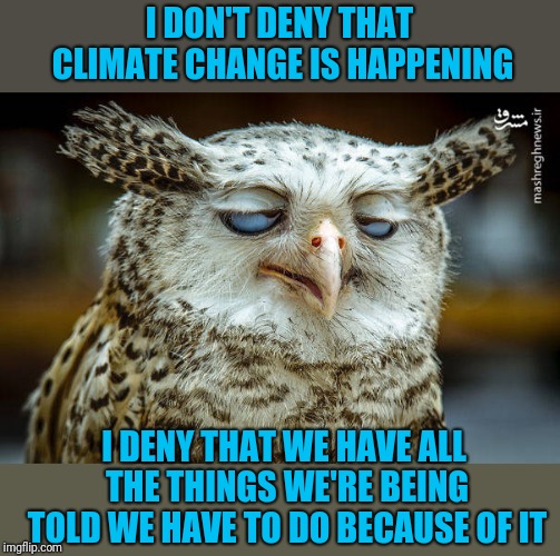Unwise Owl | I DON'T DENY THAT CLIMATE CHANGE IS HAPPENING I DENY THAT WE HAVE ALL THE THINGS WE'RE BEING TOLD WE HAVE TO DO BECAUSE OF IT | image tagged in unwise owl | made w/ Imgflip meme maker
