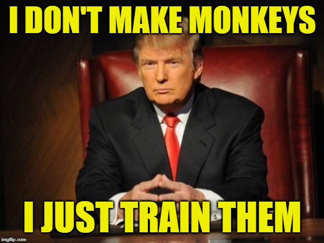Trump: The Monkey Trainer | I DON'T MAKE MONKEYS; I JUST TRAIN THEM | image tagged in donald trump,mashup,peewee herman,donald trump memes,funny memes,politics lol | made w/ Imgflip meme maker