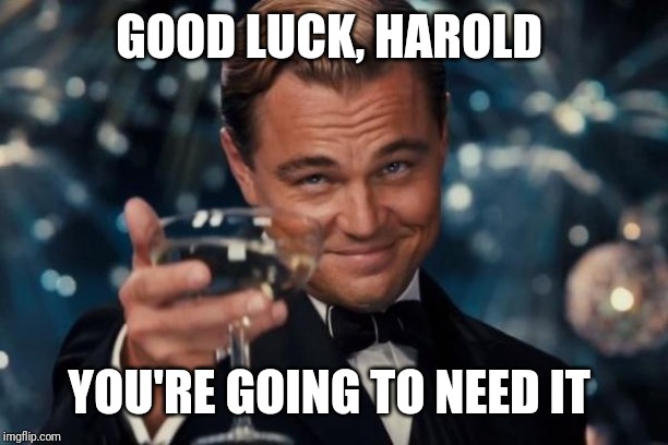 Leonardo Dicaprio Cheers Meme | GOOD LUCK, HAROLD YOU'RE GOING TO NEED IT | image tagged in memes,leonardo dicaprio cheers | made w/ Imgflip meme maker