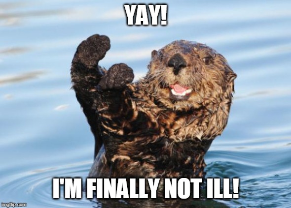 otter celebration | YAY! I'M FINALLY NOT ILL! | image tagged in otter celebration | made w/ Imgflip meme maker