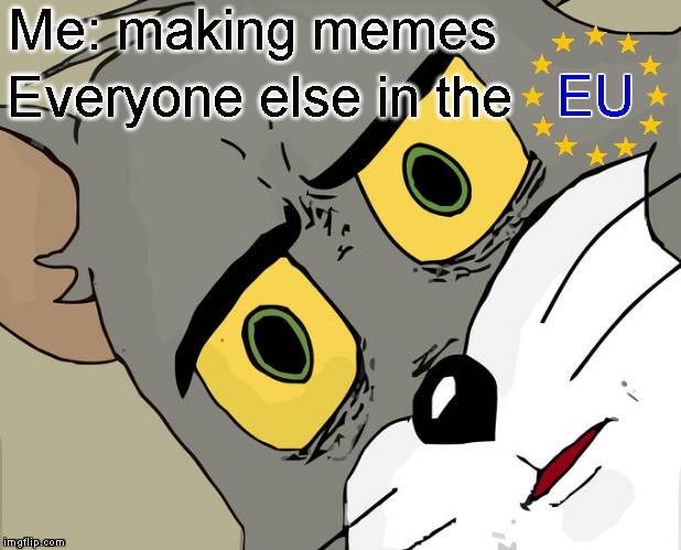 Unsettled Tom |  Me: making memes; EU; Everyone else in the | image tagged in memes,unsettled tom,making memes,eu | made w/ Imgflip meme maker