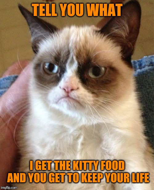 Grumpy Cat Meme | TELL YOU WHAT I GET THE KITTY FOOD AND YOU GET TO KEEP YOUR LIFE | image tagged in memes,grumpy cat | made w/ Imgflip meme maker