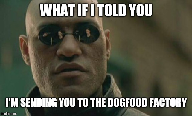 Matrix Morpheus Meme | WHAT IF I TOLD YOU I'M SENDING YOU TO THE DOGFOOD FACTORY | image tagged in memes,matrix morpheus | made w/ Imgflip meme maker