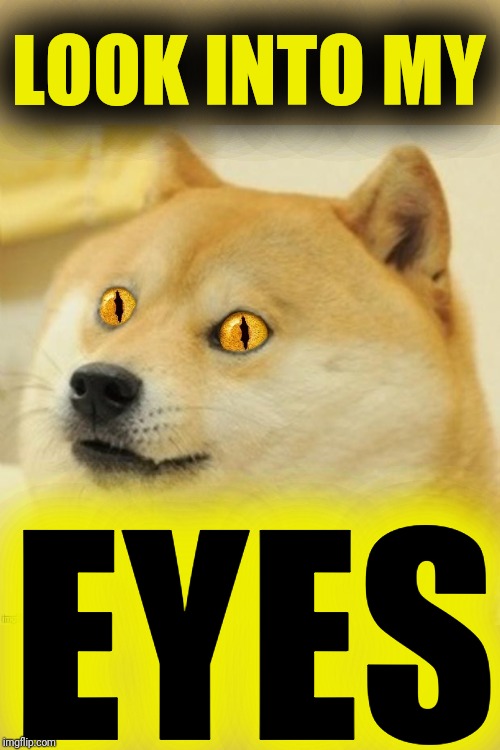 Doge Snake Eyes | LOOK INTO MY EYES | image tagged in doge snake eyes | made w/ Imgflip meme maker