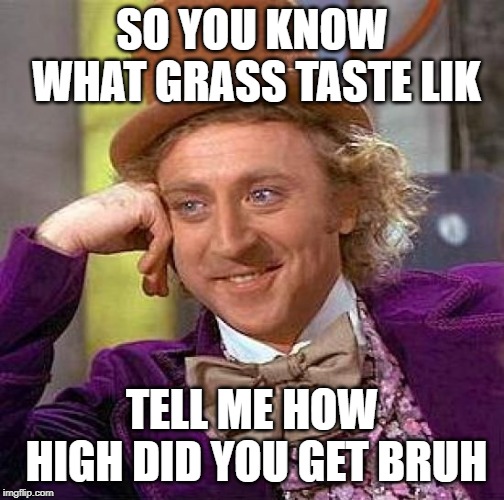 Creepy Condescending Wonka Meme | SO YOU KNOW WHAT GRASS TASTE LIK TELL ME HOW HIGH DID YOU GET BRUH | image tagged in memes,creepy condescending wonka | made w/ Imgflip meme maker