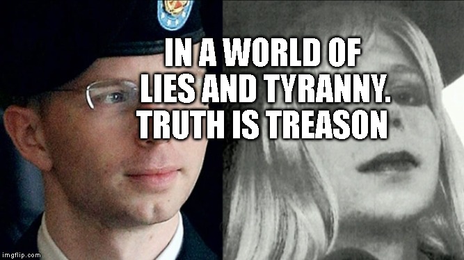 chelsea manning | IN A WORLD OF LIES AND TYRANNY. TRUTH IS TREASON | image tagged in chelsea manning | made w/ Imgflip meme maker