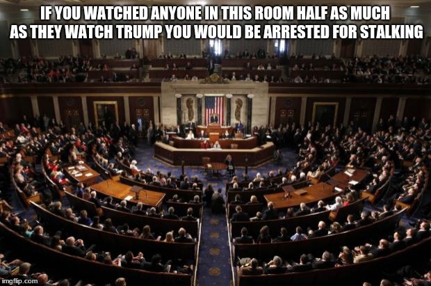 I wasn't stalking Officer, I was taking notes on criminal indicators. | IF YOU WATCHED ANYONE IN THIS ROOM HALF AS MUCH AS THEY WATCH TRUMP YOU WOULD BE ARRESTED FOR STALKING | image tagged in congress,fire congress,criminal indicators,vote them out,trump,maga | made w/ Imgflip meme maker