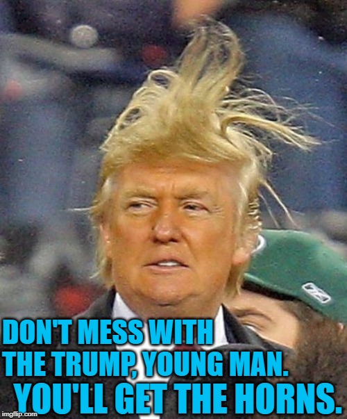 Don't Mess With the Trump | YOU'LL GET THE HORNS. DON'T MESS WITH THE TRUMP, YOUNG MAN. | image tagged in donald trumph hair,breakfast club,mashup,funny trump meme,movie quotes,president trump | made w/ Imgflip meme maker