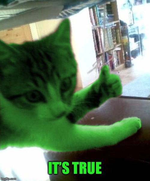 thumbs up RayCat | IT’S TRUE | image tagged in thumbs up raycat | made w/ Imgflip meme maker