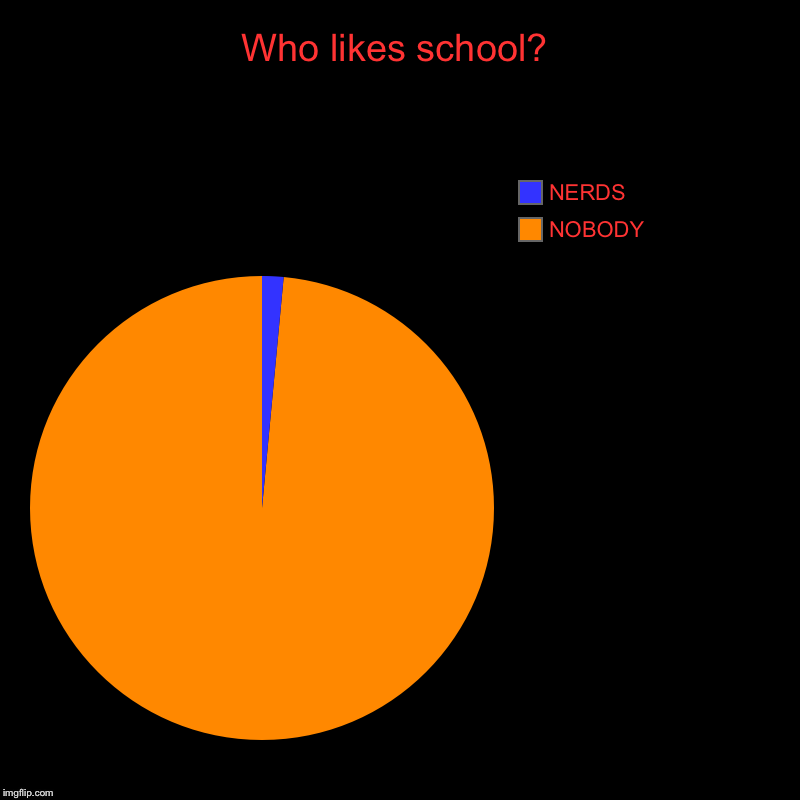 Who likes school? | NOBODY , NERDS | image tagged in charts,pie charts | made w/ Imgflip chart maker