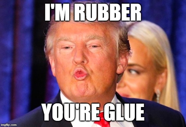 Rubber Trump | I'M RUBBER; YOU'RE GLUE | image tagged in donald trump kiss face,peewee herman,mashup,childish,funny memes,politics lol | made w/ Imgflip meme maker