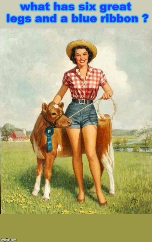 youth in most forms is pleasant.cowlick. | what has six great legs and a blue ribbon ? | image tagged in farm women,denim dreams,pin up babe,meme | made w/ Imgflip meme maker