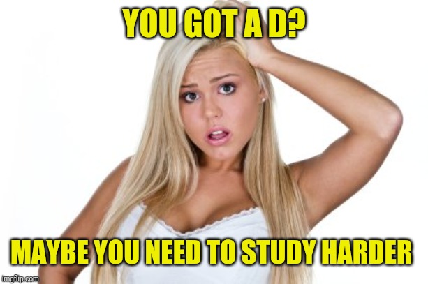 Dumb Blonde | YOU GOT A D? MAYBE YOU NEED TO STUDY HARDER | image tagged in dumb blonde | made w/ Imgflip meme maker