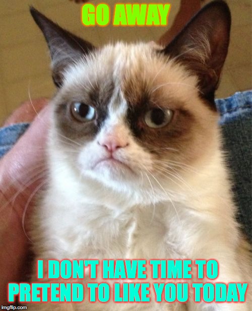 Grumpy Cat Meme | GO AWAY; I DON'T HAVE TIME TO PRETEND TO LIKE YOU TODAY | image tagged in memes,grumpy cat | made w/ Imgflip meme maker