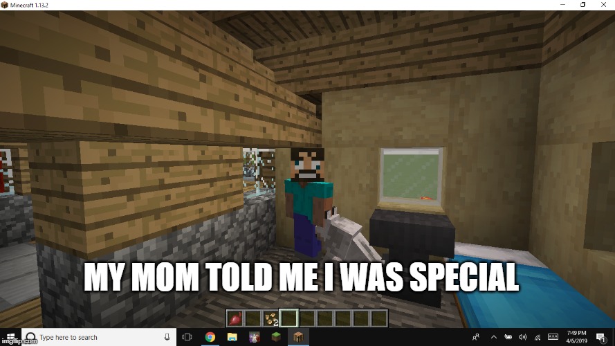 Derp | MY MOM TOLD ME I WAS SPECIAL | image tagged in minecraft | made w/ Imgflip meme maker
