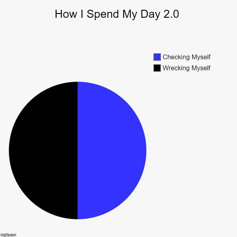 How I Spend My Day 2.0 | Wrecking Myself, Checking Myself | image tagged in charts,pie charts | made w/ Imgflip chart maker