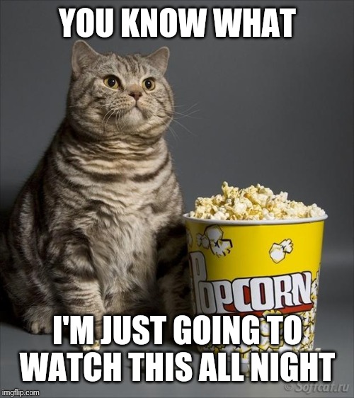 Cat eating popcorn | YOU KNOW WHAT I'M JUST GOING TO WATCH THIS ALL NIGHT | image tagged in cat eating popcorn | made w/ Imgflip meme maker