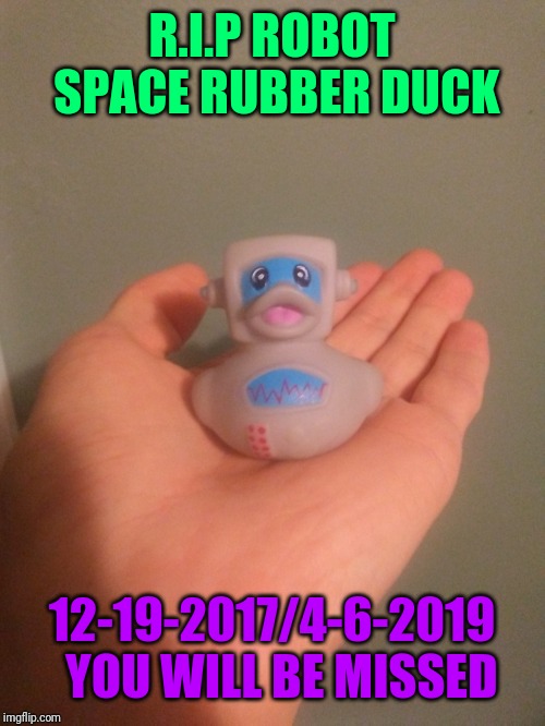 Robot space rubber duck | R.I.P ROBOT SPACE RUBBER DUCK; 12-19-2017/4-6-2019 
YOU WILL BE MISSED | image tagged in robot | made w/ Imgflip meme maker