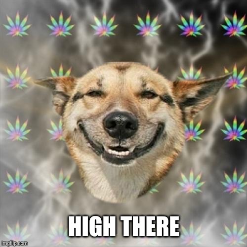 Stoner Dog Meme | HIGH THERE | image tagged in memes,stoner dog | made w/ Imgflip meme maker