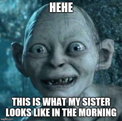 Gollum Meme | HEHE; THIS IS WHAT MY SISTER LOOKS LIKE IN THE MORNING | image tagged in memes,gollum | made w/ Imgflip meme maker