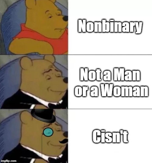 Fancy Winnie the Pooh | Nonbinary; Not a Man or a Woman; Cisn't | image tagged in fancy winnie the pooh | made w/ Imgflip meme maker