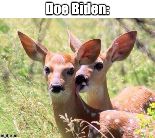 Deer licking neck | Doe Biden: | image tagged in deer licking neck | made w/ Imgflip meme maker