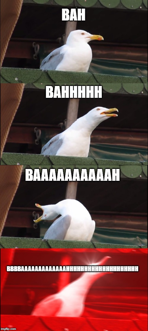 Inhaling Seagull Meme | BAH; BAHHHHH; BAAAAAAAAAAH; BBBBAAAAAAAAAAAAAHHHHHHHHHHHHHHHHHHHH | image tagged in memes,inhaling seagull | made w/ Imgflip meme maker