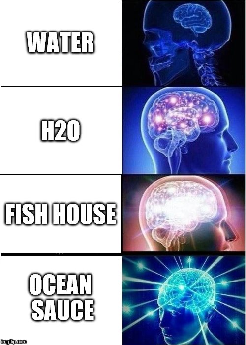 Expanding Brain Meme | WATER; H2O; FISH HOUSE; OCEAN SAUCE | image tagged in memes,expanding brain,water | made w/ Imgflip meme maker