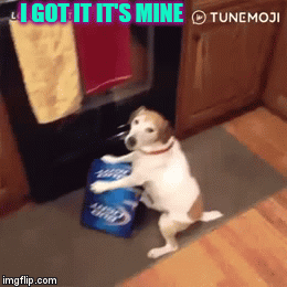 I want it, i got it; it's mine! | I GOT IT IT'S MINE | image tagged in gifs,cats,dogs,viral,instagram | made w/ Imgflip video-to-gif maker