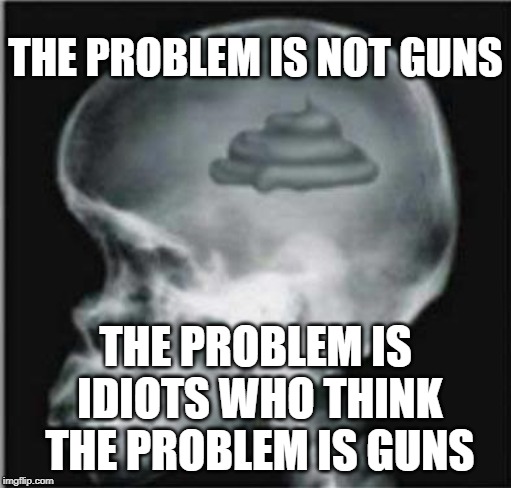 Shit for brains | THE PROBLEM IS NOT GUNS; THE PROBLEM IS IDIOTS WHO THINK THE PROBLEM IS GUNS | image tagged in shit for brains | made w/ Imgflip meme maker
