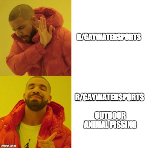 Drake Blank | R/GAYWATERSPORTS; R/GAYWATERSPORTS OUTDOOR ANIMAL PISSING | image tagged in drake blank | made w/ Imgflip meme maker