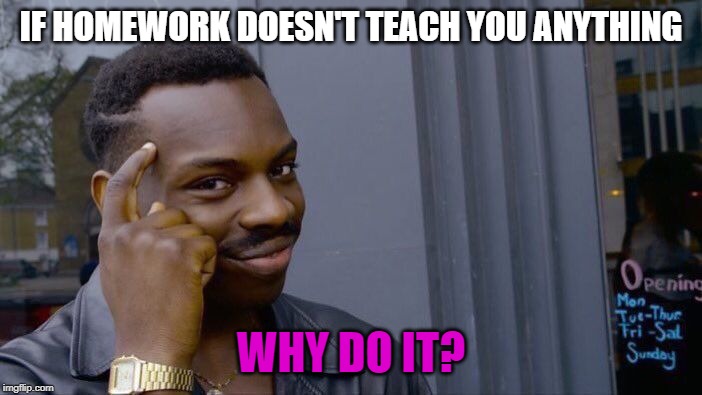 Roll Safe Think About It | IF HOMEWORK DOESN'T TEACH YOU ANYTHING; WHY DO IT? | image tagged in memes,roll safe think about it | made w/ Imgflip meme maker