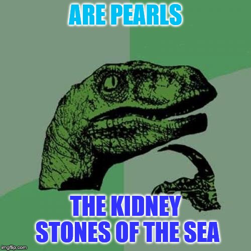 what a 'well-rounded' idea | ARE PEARLS; THE KIDNEY STONES OF THE SEA | image tagged in memes,philosoraptor | made w/ Imgflip meme maker