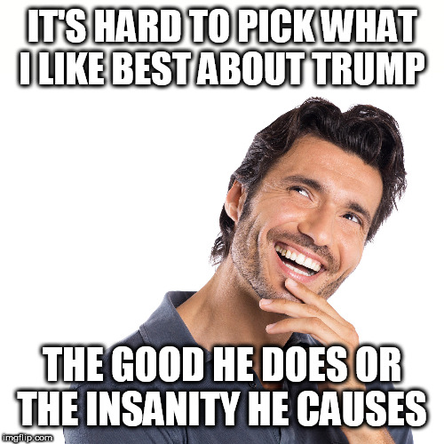 hmm | IT'S HARD TO PICK WHAT I LIKE BEST ABOUT TRUMP; THE GOOD HE DOES OR THE INSANITY HE CAUSES | image tagged in hmm | made w/ Imgflip meme maker
