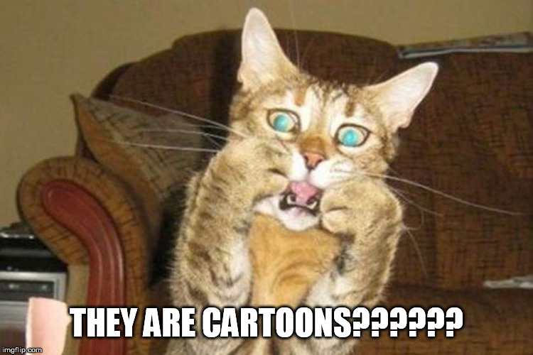 shocked cat | THEY ARE CARTOONS?????? | image tagged in shocked cat | made w/ Imgflip meme maker