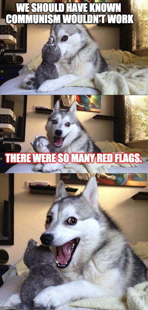 food lines | WE SHOULD HAVE KNOWN COMMUNISM WOULDN'T WORK; THERE WERE SO MANY RED FLAGS. | image tagged in memes,bad pun dog | made w/ Imgflip meme maker