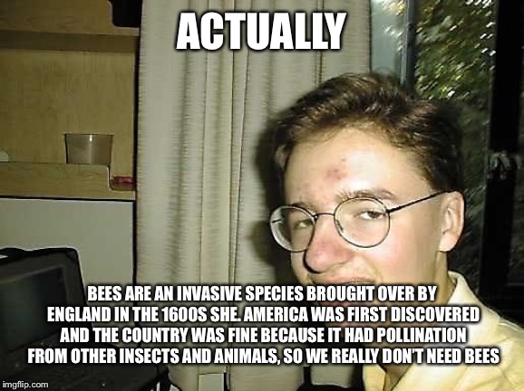 Nerdy Nick | ACTUALLY BEES ARE AN INVASIVE SPECIES BROUGHT OVER BY ENGLAND IN THE 1600S SHE. AMERICA WAS FIRST DISCOVERED AND THE COUNTRY WAS FINE BECAUS | image tagged in nerdy nick | made w/ Imgflip meme maker
