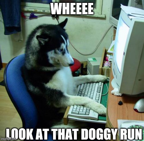 I Have No Idea What I Am Doing | WHEEEE; LOOK AT THAT DOGGY RUN | image tagged in memes,i have no idea what i am doing | made w/ Imgflip meme maker