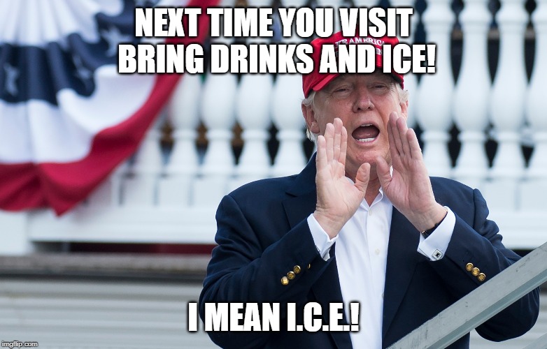 Democrats:  Thanks for coming | NEXT TIME YOU VISIT BRING DRINKS AND ICE! I MEAN I.C.E.! | image tagged in democratic party,crying democrats | made w/ Imgflip meme maker