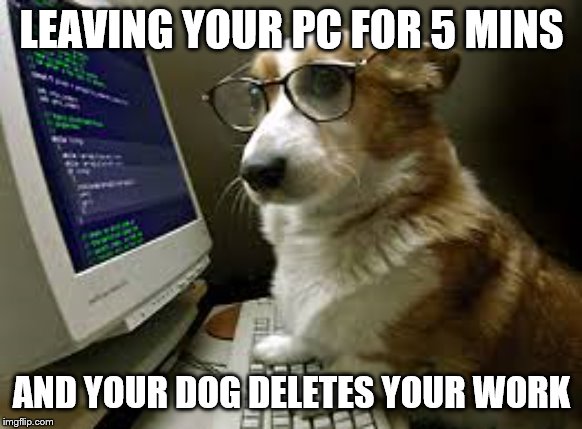 coding k9 | LEAVING YOUR PC FOR 5 MINS; AND YOUR DOG DELETES YOUR WORK | image tagged in coding k9 | made w/ Imgflip meme maker