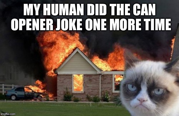 When you start the electric can opener and laugh when your cat thinks he’s about to get fed | MY HUMAN DID THE CAN OPENER JOKE ONE MORE TIME | image tagged in memes,burn kitty,grumpy cat | made w/ Imgflip meme maker