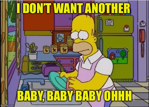 I wish I married a businessman | I DON’T WANT ANOTHER BABY, BABY BABY OHHH | image tagged in i wish i married a businessman | made w/ Imgflip meme maker