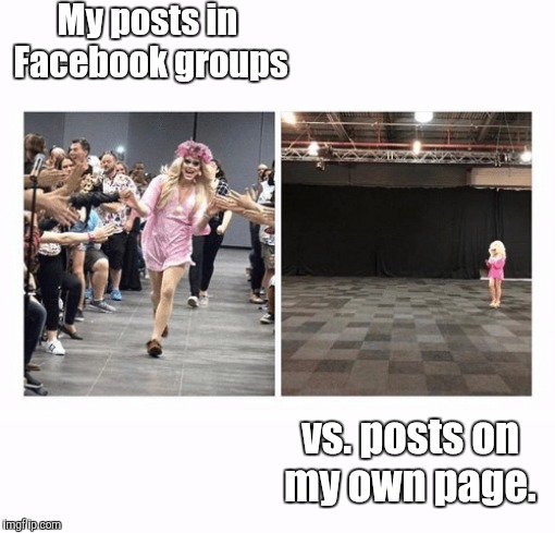 Popular Opinion Vs. Unpopular Opinion | My posts in Facebook groups; vs. posts on my own page. | image tagged in popular opinion vs unpopular opinion,memes | made w/ Imgflip meme maker