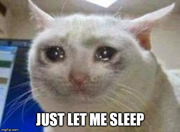 Sad cat | JUST LET ME SLEEP | image tagged in sad cat | made w/ Imgflip meme maker